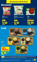 Gazetka promocyjna Lidl - GAZETKA - Gazetka - ważna od 10.01 do 10.01.2026 - strona 47 - produkty: Kalafior, Zupa, Zupa kalafiorowa, Lody, Hortex
