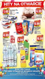 Gazetka promocyjna Topaz - Gazetka - Gazetka - ważna od 19.10 do 19.10.2022 - strona 2 - produkty: Piec, Ser, Gra, Proszek do prania, Serek, Mleczko, Pieczarka, Ptasie mleczko, Danio, Bryza, Grill
