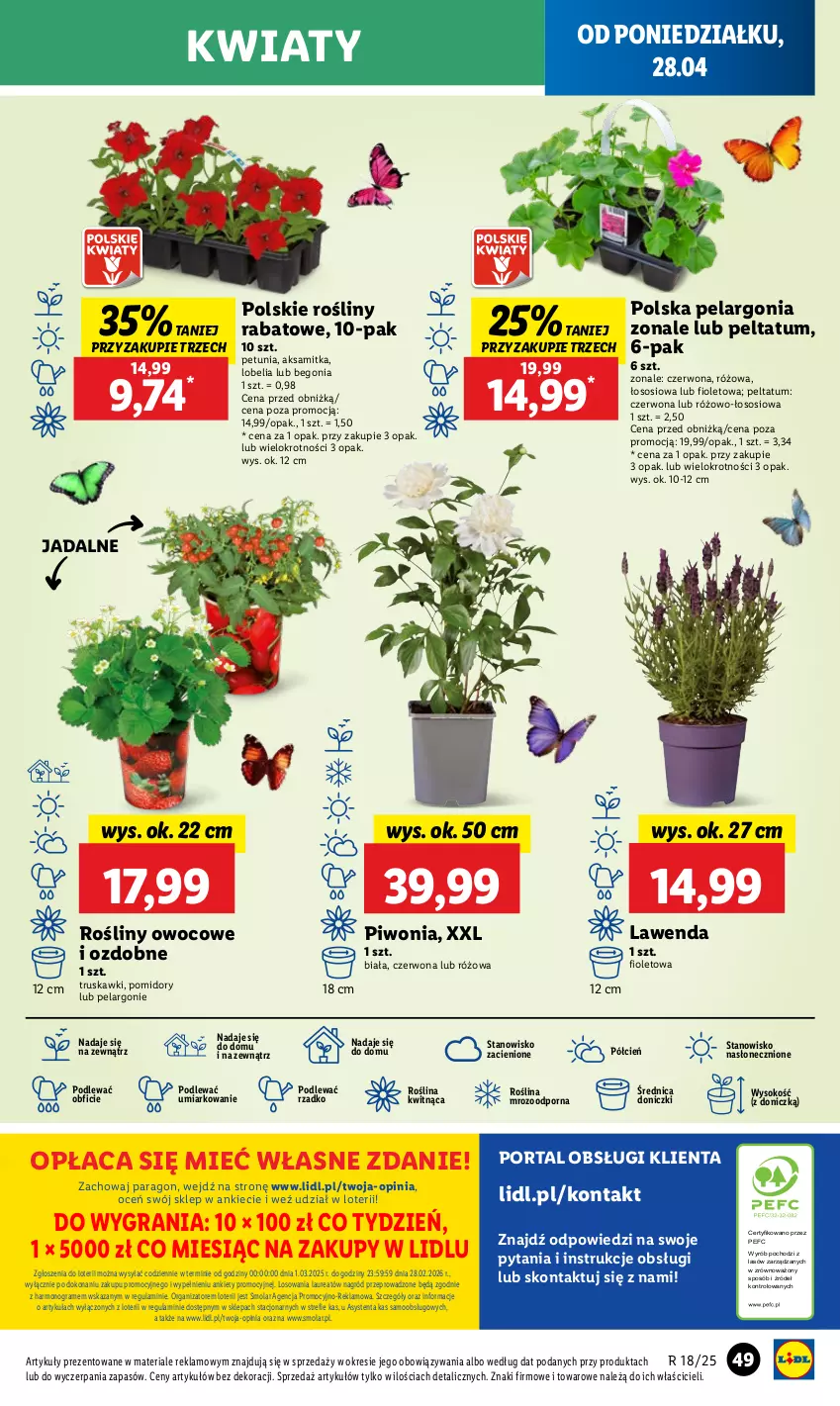 Gazetka promocyjna Lidl - GAZETKA - ważna 28.04 do 29.04.2025 - strona 53 - produkty: Aksam, Cień, Gra, Laur, Mola, O nas, Piwo, Pomidory, Por, Portal, Sok, Sos, Truskawki
