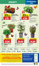 Gazetka promocyjna Lidl - GAZETKA - Gazetka - ważna od 29.04 do 29.04.2025 - strona 53 - produkty: Piwo, Sos, Sok, Por, Gra, Truskawki, Cień, O nas, Portal, Laur, Mola, Aksam, Pomidory
