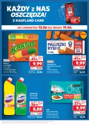 Gazetka promocyjna Kaufland - Kaufland - Gazetka - ważna od 19.06 do 19.06.2024 - strona 21 - produkty: Domestos, Gin, Kaktus, Lody
