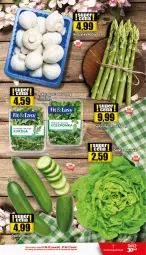 Gazetka promocyjna Topaz - Gazetka - Gazetka - ważna od 07.06 do 07.06.2023 - strona 7 - produkty: Top, Roszponka, Ogórek, Rukola, Fa
