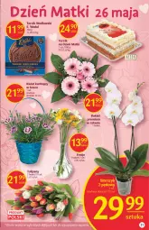 Gazetka promocyjna Delikatesy Centrum - Gazetka DC20 - Gazetka - ważna od 01.06 do 01.06.2022 - strona 20 - produkty: Tulipan, Kosz, Bukiet, E. Wedel, Fa