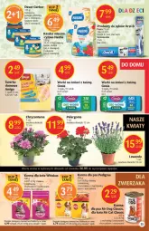 Gazetka promocyjna Delikatesy Centrum - Gazetka DC20 - Gazetka - ważna od 01.06 do 01.06.2022 - strona 24 - produkty: Kurczak, Warzywa, Frozen, Ser, Ryż, Gerber, Chryzantema, Whiskas, Worki na śmieci, Cars, Worki na śmiec, Deser, Star Wars, Pedigree, Szczoteczka