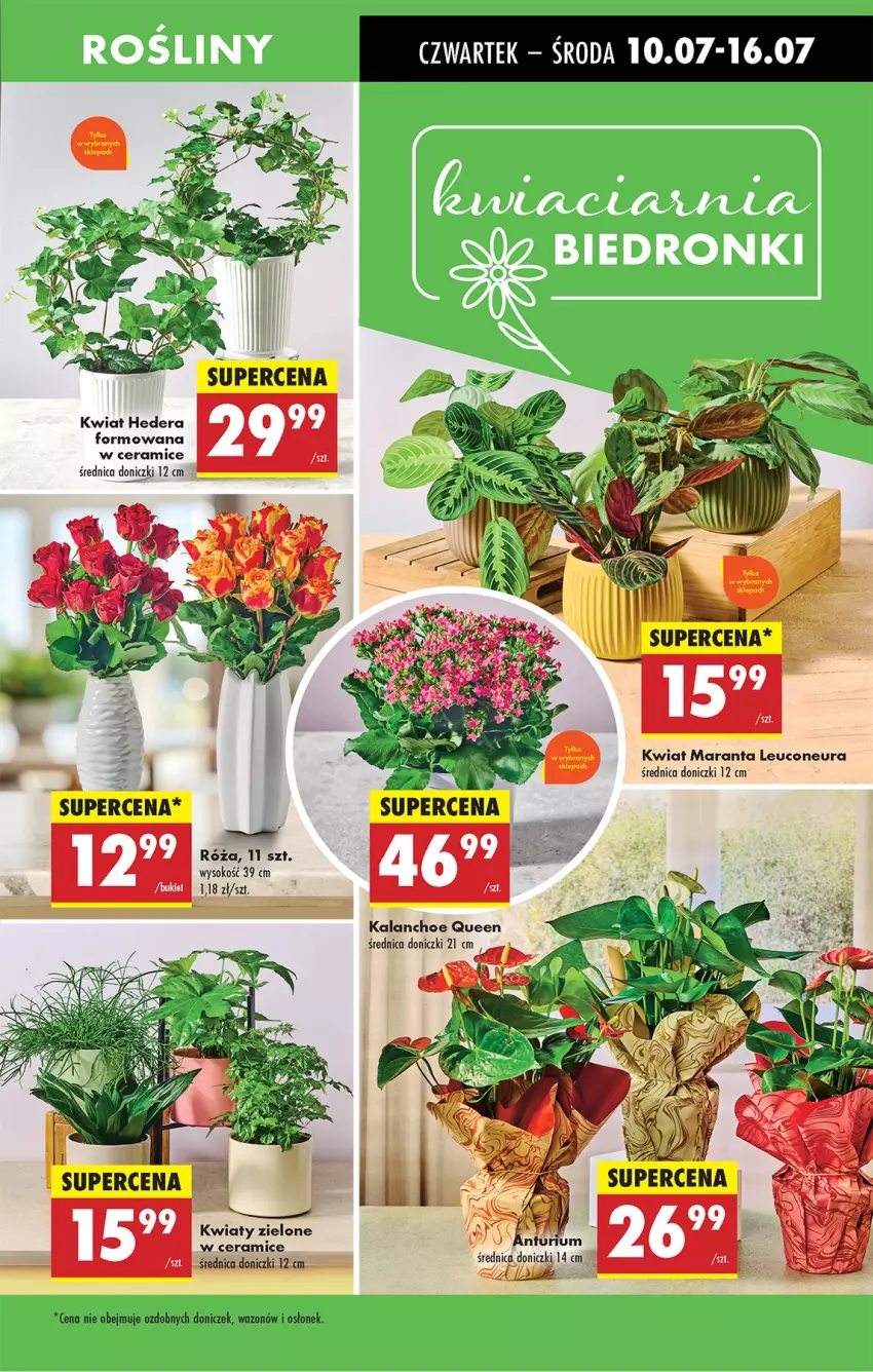 Gazetka promocyjna Biedronka - Od Czwartku - ważna 10.07 do 16.07.2025 - strona 19 - produkty: Kalanchoe, Sok, Wazon