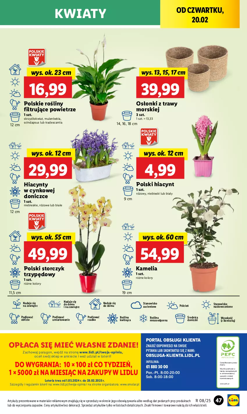 Gazetka promocyjna Lidl - GAZETKA - ważna 20.02 do 22.02.2025 - strona 53 - produkty: Cień, Cynk, Gra, Hiacynt, Mola, Mule, O nas, Por, Sok, Storczyk