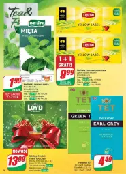 Gazetka promocyjna Dino - Gazetka - ważna od 11.03 do 11.03.2025 - strona 10 - produkty: Herbata czarna, Fusion, Loyd, Lipton, Herbata, Mięta, Fa