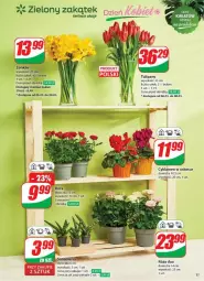 Gazetka promocyjna Dino - Gazetka - ważna od 11.03 do 11.03.2025 - strona 3 - produkty: Sok, Cyklamen, Tulipan, Róża, Bukiet