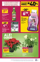 Gazetka promocyjna Aldi - Katalog spożywczy - Gazetka - ważna od 20.11 do 20.11.2021 - strona 29 - produkty: Piwa, Piwo, Płyn do kąpieli, Sok, Por, Gra, Gwiazda, Tera, Perła, Putzmeister