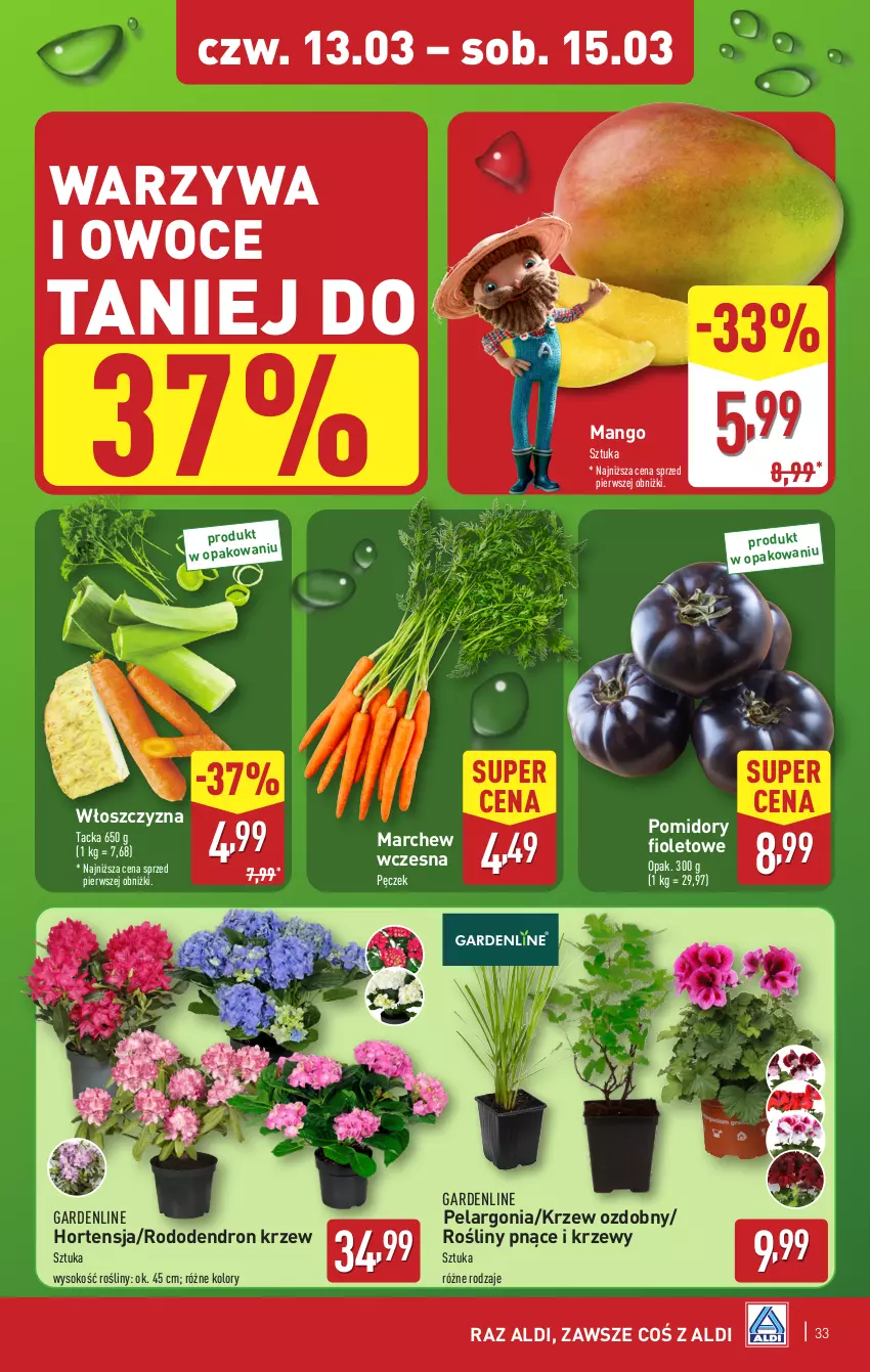 Gazetka promocyjna Aldi - Pełna oferta - ważna 10.03 do 15.03.2025 - strona 33 - produkty: Mango, Owoce, Pomidory, Sok, Warzywa, Warzywa i owoce