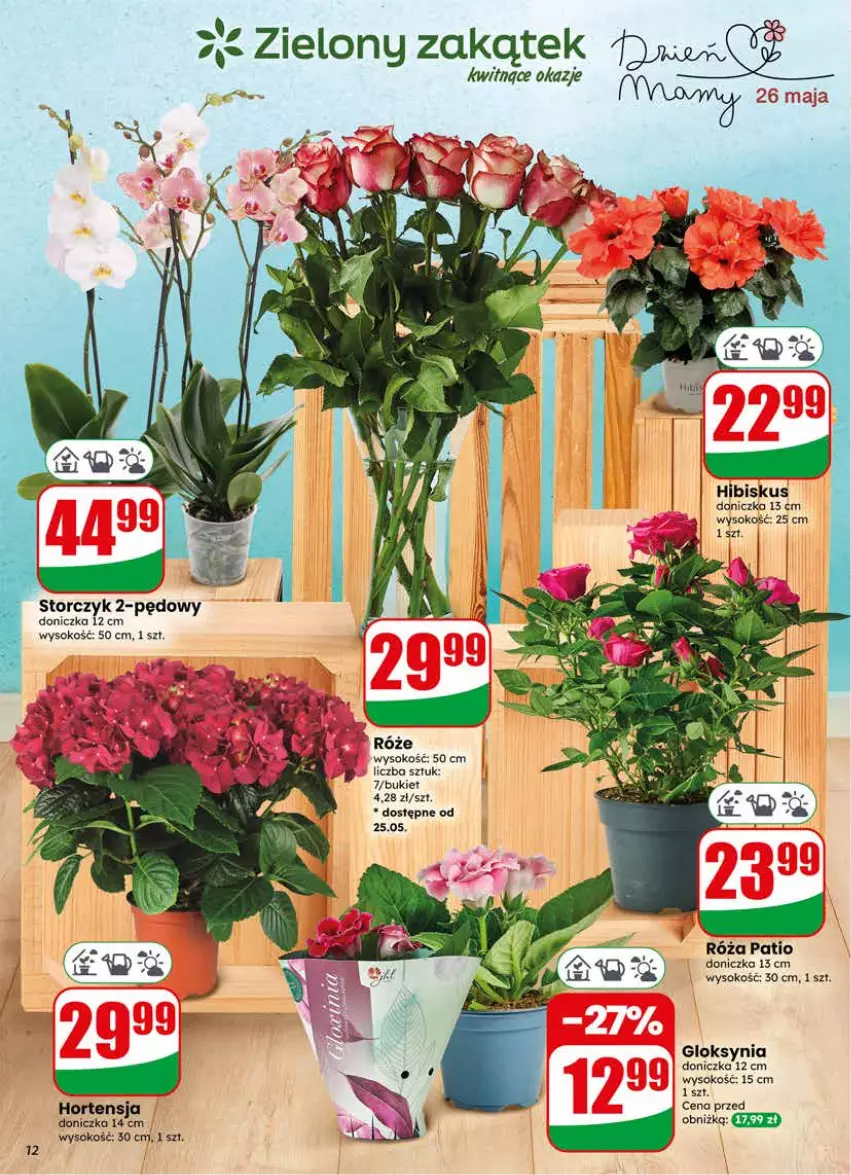 Gazetka promocyjna Dino - Gazetka 21 / 2026 - ważna 20.05 do 26.05.2026 - strona 12 - produkty: Bukiet, Hibiskus, Róża, Sok, Storczyk
