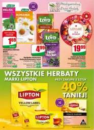 Gazetka promocyjna Dino - Gazetka 21 / 2026 - Gazetka - ważna od 26.05 do 26.05.2026 - strona 10 - produkty: Loyd, Herbata, Mango, Herbata owocowa