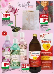 Gazetka promocyjna Dino - Gazetka 21 / 2026 - Gazetka - ważna od 26.05 do 26.05.2026 - strona 17 - produkty: Ser, Storczyk, Torba