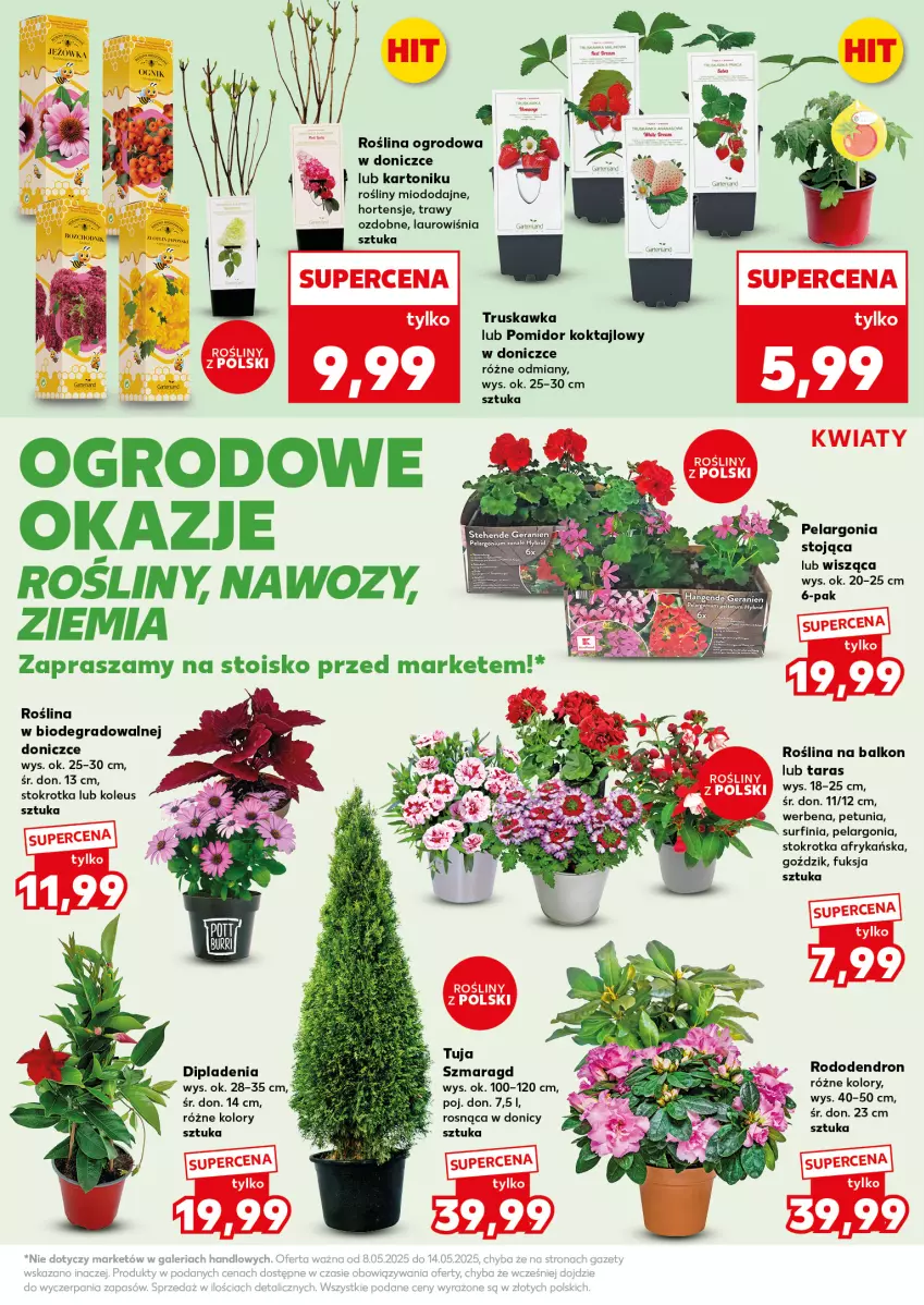 Gazetka promocyjna Kaufland - Mocny Start - ważna 12.05 do 14.05.2025 - strona 19 - produkty: Gra, Laur, Surf, Tonik