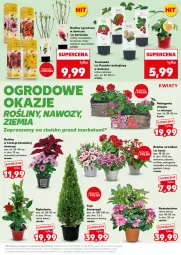Gazetka promocyjna Kaufland - Mocny Start - Gazetka - ważna od 14.05 do 14.05.2025 - strona 19 - produkty: Gra, Surf, Laur, Tonik