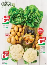 Gazetka promocyjna Dino - Gazetka - ważna od 18.03 do 18.03.2025 - strona 27 - produkty: Kalafior, Sałata masłowa, Ziemniaki, Sałat, Masło