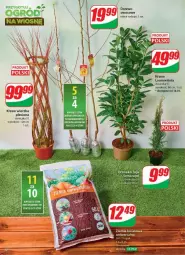 Gazetka promocyjna Dino - Gazetka - ważna od 18.03 do 18.03.2025 - strona 48 - produkty: Sok, Laur, LG