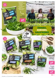 Gazetka promocyjna Carrefour - Gazetka Otwieramy się - Gazetka - ważna od 03.07 do 03.07.2021 - strona 9 - produkty: Warzywa, Roszponka, Rukola, Sałat, Owoce, Szpinak