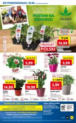 Gazetka promocyjna Lidl - GAZETKA - Gazetka - ważna od 12.05 do 12.05.2021 - strona 55 - produkty: Gra, Papryka czerwona, Papryka, Ogórek, Cień, O nas, Zdrowie, Papryka żółta