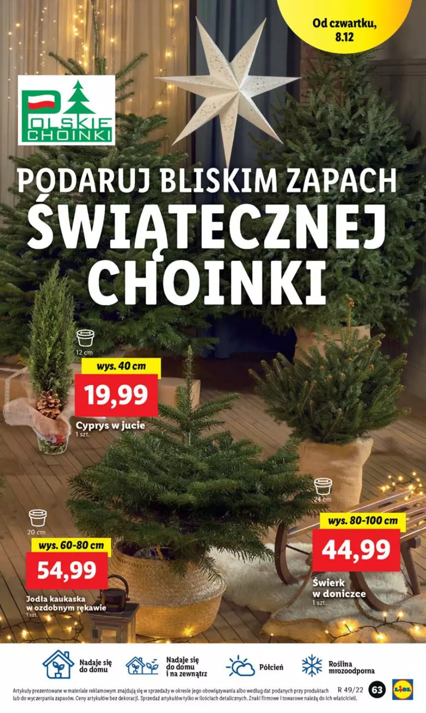 Gazetka promocyjna Lidl - GAZETKA - ważna 07.12 do 11.12.2022 - strona 69 - produkty: Cień, Kask, Por