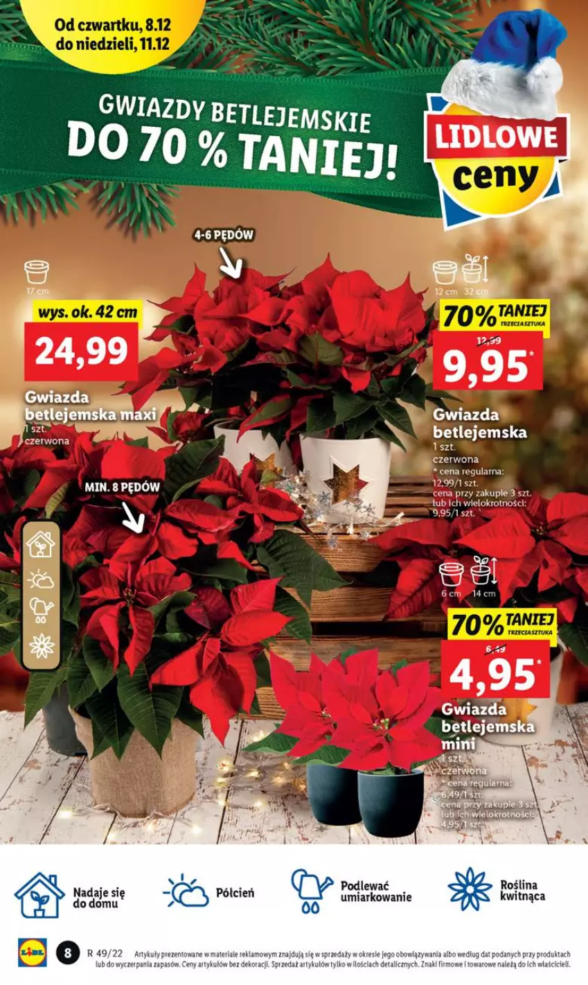 Gazetka promocyjna Lidl - GAZETKA - ważna 07.12 do 11.12.2022 - strona 8 - produkty: Gwiazda, Szal