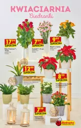 Gazetka promocyjna Biedronka - W tym tygodniu - Gazetka - ważna od 27.11 do 27.11.2021 - strona 9 - produkty: Róża, Kalanchoe