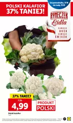 Gazetka promocyjna Lidl - GAZETKA - Gazetka - ważna od 19.10 do 19.10.2022 - strona 17 - produkty: Kalafior