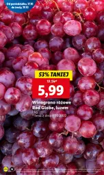 Gazetka promocyjna Lidl - GAZETKA - Gazetka - ważna od 19.10 do 19.10.2022 - strona 18 - produkty: Wino