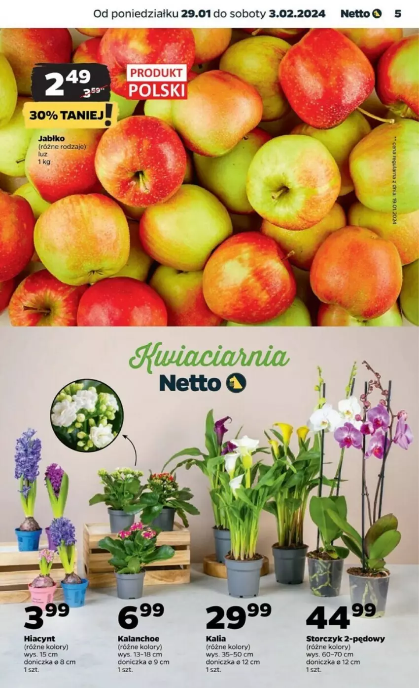 Gazetka promocyjna Netto - ważna 29.01 do 03.02.2024 - strona 22 - produkty: Hiacynt, Kalanchoe, Storczyk