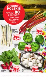 Gazetka promocyjna Kaufland - Mocny Start - Gazetka - ważna od 31.05 do 31.05.2023 - strona 7 - produkty: Piec, Papryka, Rzodkiewka