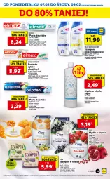 Gazetka promocyjna Lidl - GAZETKA - Gazetka - ważna od 09.02 do 09.02.2022 - strona 51 - produkty: Mydło w płynie, Szal, Pasta do zębów, Szampon, Dzieci, Mydło, Elmex, Karmi, Fa
