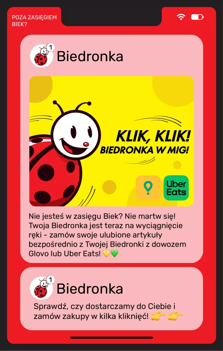 Gazetka promocyjna Biedronka - Gazetka - ważna 22.05 do 29.05.2026 - strona 20 - produkty: Tera