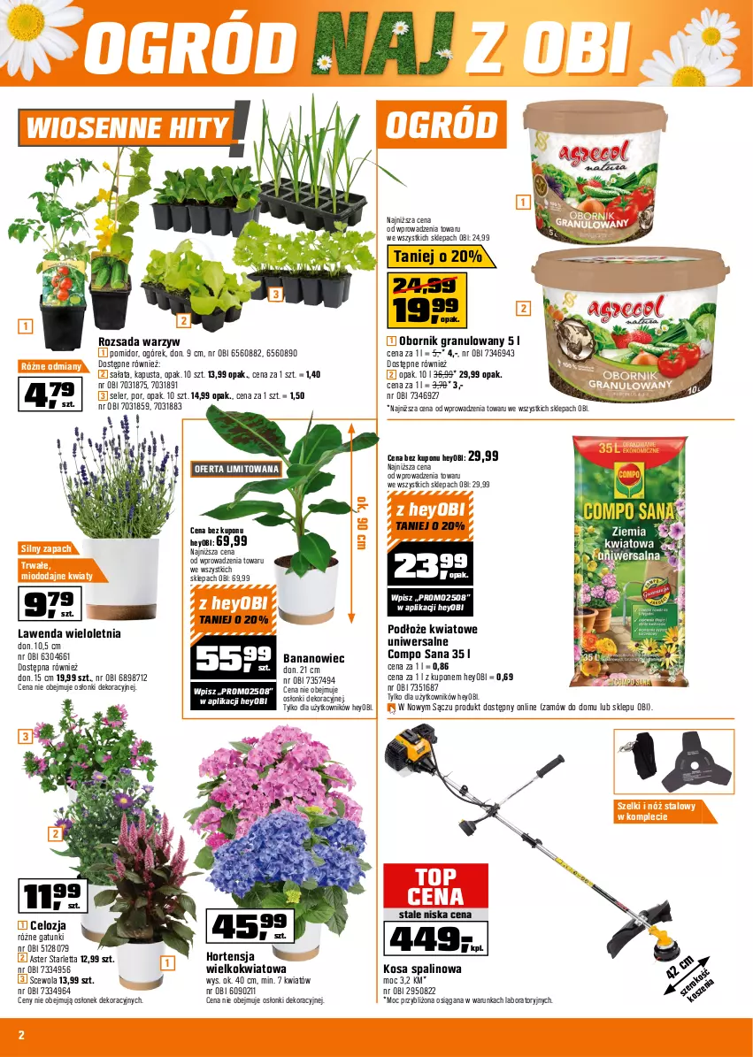 Gazetka promocyjna Obi - Gazetka OBI - ważna 07.05 do 20.05.2025 - strona 2 - produkty: Gra, Ogórek, Ogród, Por, Sałat, Top