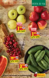 Gazetka promocyjna Biedronka - Ten tydzień - Gazetka - ważna od 12.06 do 12.06.2021 - strona 15 - produkty: Klej, Jabłka