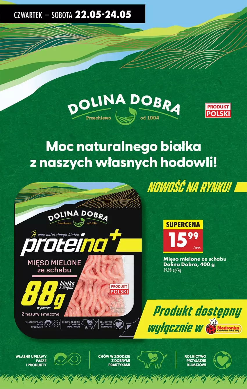 Gazetka promocyjna Biedronka - Od Czwartku - ważna 22.05 do 28.05.2025 - strona 36 - produkty: Fa, Mięso, Mięso mielone