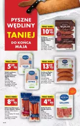 Gazetka promocyjna Biedronka - Od Czwartku - Gazetka - ważna od 28.05 do 28.05.2025 - strona 48 - produkty: Salami, Tera, Szynka, Kabanos, Kiełbasa, Kiełbasa śląska