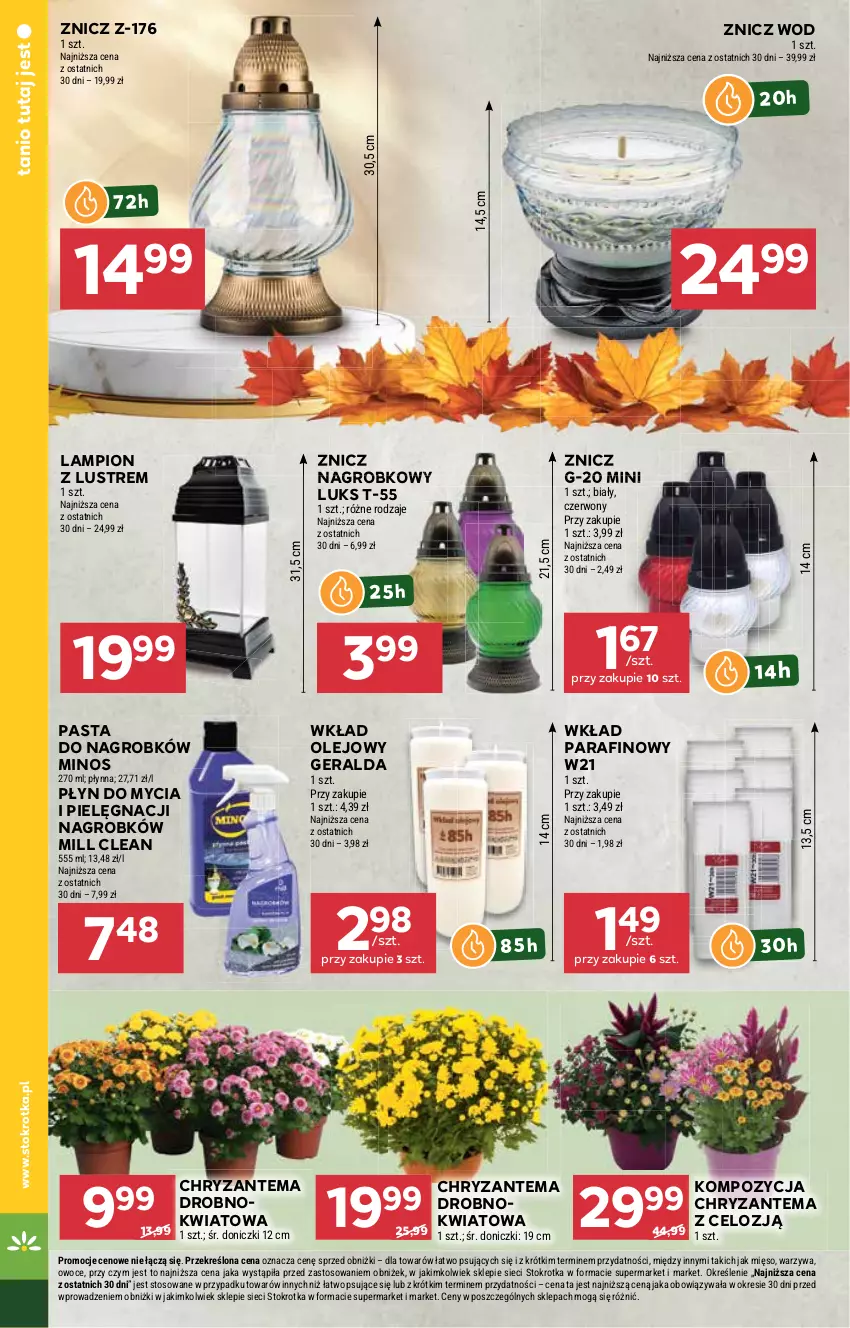 Gazetka promocyjna Stokrotka - Market - ważna 23.10 do 29.10.2025 - strona 16 - produkty: Chryzantema, Lampion, Mięso, Olej, Owoce, Płyn do mycia, Warzywa, Wkład olejowy, Znicz