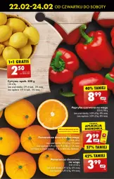 Gazetka promocyjna Biedronka - Od czwartku - Gazetka - ważna od 28.02 do 28.02.2024 - strona 23 - produkty: Ser, Papryka czerwona, Papryka, Pomarańcze, Deser