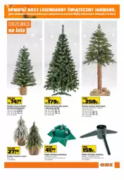 Gazetka promocyjna Obi - Gazetka OBI - Gazetka - ważna od 13.12 do 13.12.2022 - strona 7 - produkty: Choinka, Inka, Stojak