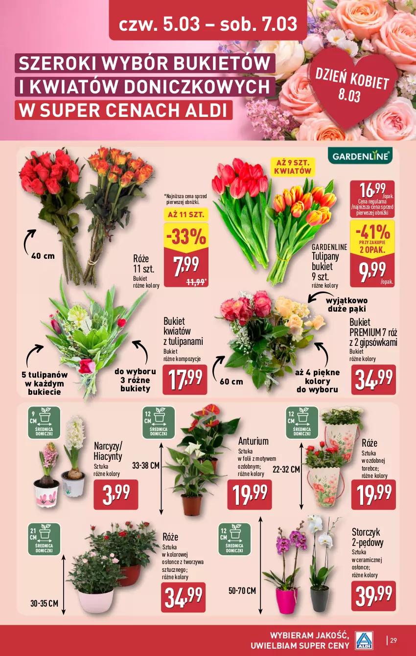 Gazetka promocyjna Aldi - Pełna oferta - ważna 02.03 do 07.03.2026 - strona 29 - produkty: Bukiet, Hiacynt, Narcyz, Storczyk, Tulipan