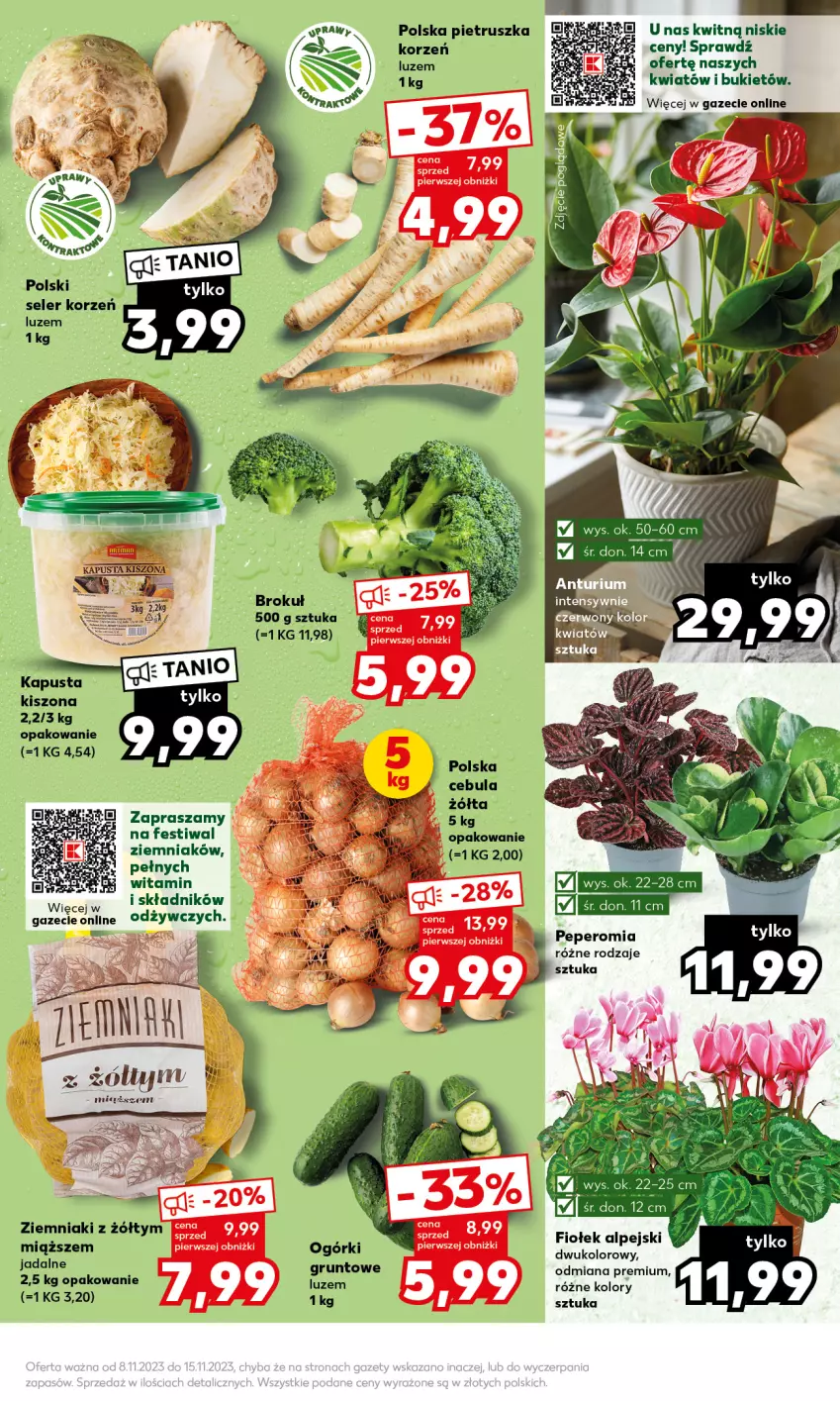 Gazetka promocyjna Kaufland - Mocny Start - ważna 13.11 do 15.11.2023 - strona 17 - produkty: Bukiet, Cebula, Grunt, Olej, Pietruszka, Seler korzeń, Ziemniaki