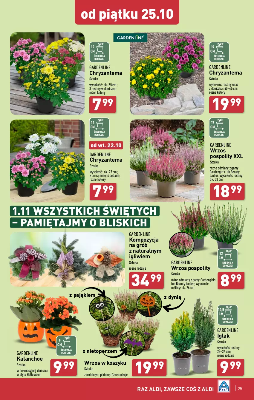 Gazetka promocyjna Aldi - Pełna oferta - ważna 21.10 do 26.10.2024 - strona 25 - produkty: Chryzantema, Dynią, Kalanchoe, Kosz, Mięta, Sok, Top