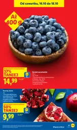 Gazetka promocyjna Lidl - GAZETKA - Gazetka - ważna od 18.10 do 18.10.2025 - strona 21 - produkty: Gra, Granat