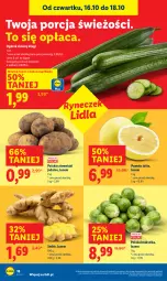 Gazetka promocyjna Lidl - GAZETKA - Gazetka - ważna od 18.10 do 18.10.2025 - strona 22 - produkty: Por, Brukselka, Ogórek, Ziemniaki, Pomelo, Imbir