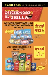 Gazetka promocyjna Biedronka - Od poniedzialku - Gazetka - ważna od 17.08 do 17.08.2024 - strona 13 - produkty: Top, Orzeszki, Big Milk, Lody, Fa