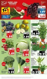 Gazetka promocyjna Kaufland - Gazetka - ważna od 09.08 do 09.08.2023 - strona 20 - produkty: Róża, Gruszki, Winogrona, Wino, Rzodkiewka, LG