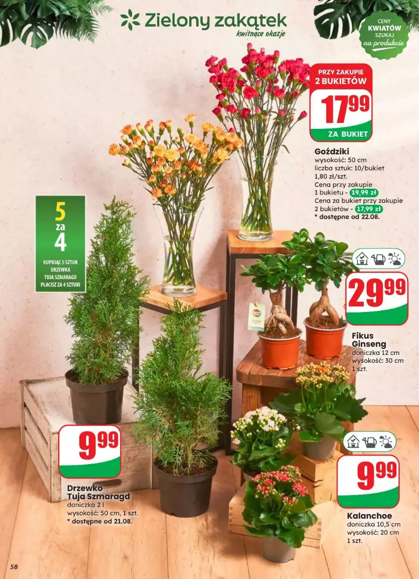 Gazetka promocyjna Dino - ważna 20.08 do 26.08.2025 - strona 53 - produkty: Bukiet, Fa, Gin, Kalanchoe, Sok