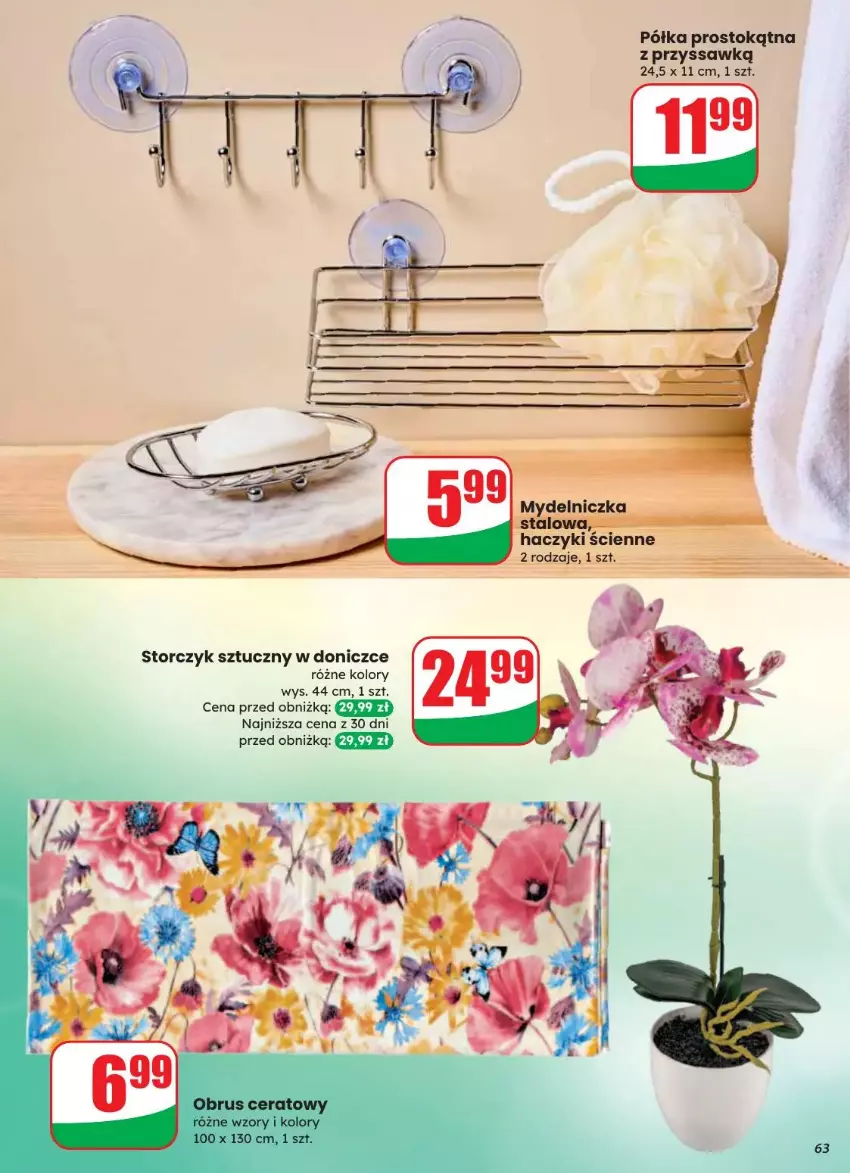 Gazetka promocyjna Dino - ważna 20.08 do 26.08.2025 - strona 59 - produkty: Półka, Storczyk