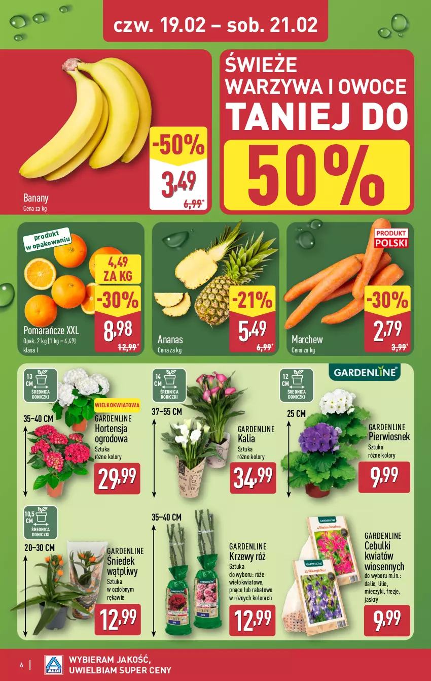 Gazetka promocyjna Aldi - Oferta weekendowa - ważna 19.02 do 21.02.2026 - strona 6 - produkty: Ananas, Banany, Miecz, Owoce, Pomarańcze, Warzywa, Warzywa i owoce
