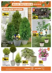 Gazetka promocyjna Obi - Gazetka OBI - Gazetka - ważna od 12.04 do 12.04.2021 - strona 4 - produkty: Ser, Cyprysik, Bell, Bella, Grejpfrut, Osłonka, Fa